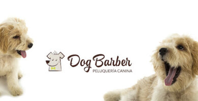 Peluquería canina en Huelva Dog Barber