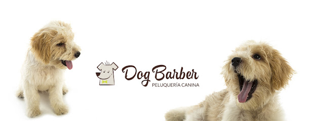 Peluquería canina en Huelva Dog Barber