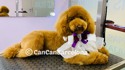 Peluquería Canina Y Spa Cancan Barcelona Barcelona 👉 Encuentra tu Peluquero De Mascotas en Barcelona