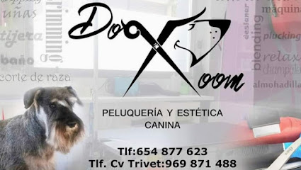 Dog Room Peluquería Canina Y Felina Cuenca 👉 Encuentra tu Peluquero De Mascotas en Cuenca