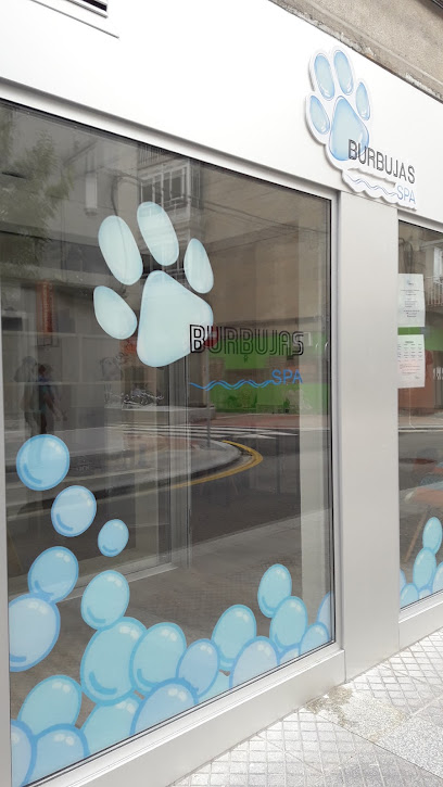 Spa Burbujas Pontevedra 👉 Encuentra tu Peluquero De Mascotas en Pontevedra