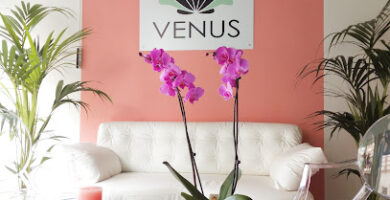 Venus estética y experiencias