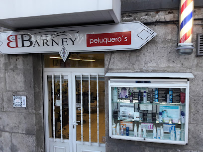 Barney Peluqueros Burgos